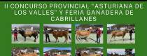 II CONCURSO PROVINCIAL 