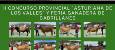II CONCURSO PROVINCIAL