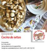 CURSO PRÁCTICO DE COCINA DE SETAS