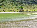 Laguna Grande