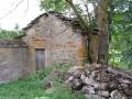 Molino