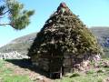 Chozo del pinar de Monte Carcedo